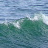 sea46