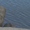 sea10