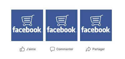 plugin Mercator e-commerce vendre sur Facebook ses produits eshop