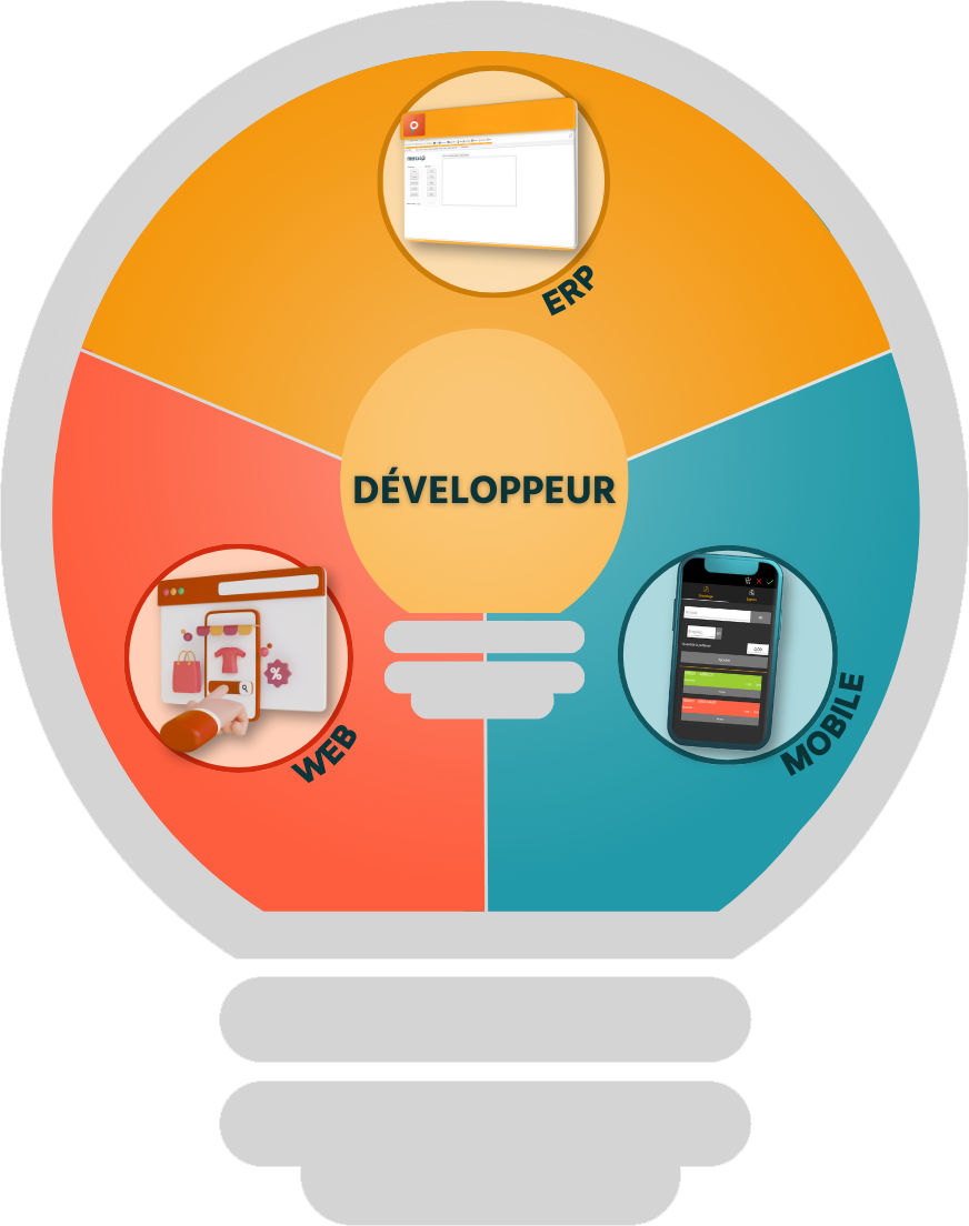 développeur erp + web chez Mercator